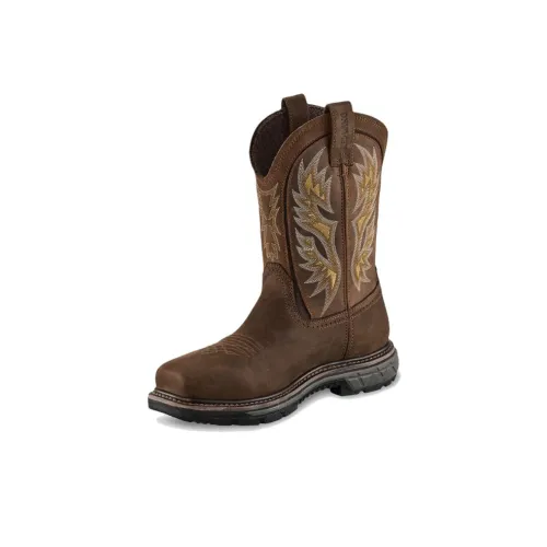 Red Wing Ботильоны Коричневый Мужской