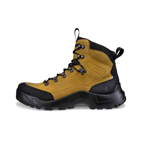 Ecco Outdoor Brown Men's