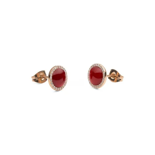 Daniel Wellington Alloy Stud Earrings Women's