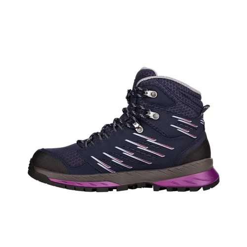 Lowa Trek EVO GTX Дышащий Устойчивый к истиранию Водонепроницаемый Амортизация Crew Outdoor Женские Темно-фиолетовый Синий