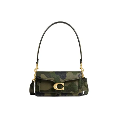 COACH Tabby Зернистая кожа личи кожа сумка на плечо маленькая женская латунь и зеленый