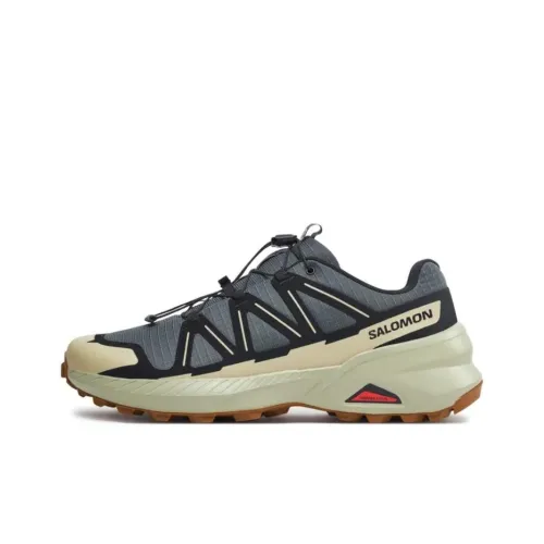 Кроссовки для бега Salomon Collaboration Speedcross Low Top Серые Мужские