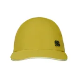 Верблюжий цвет