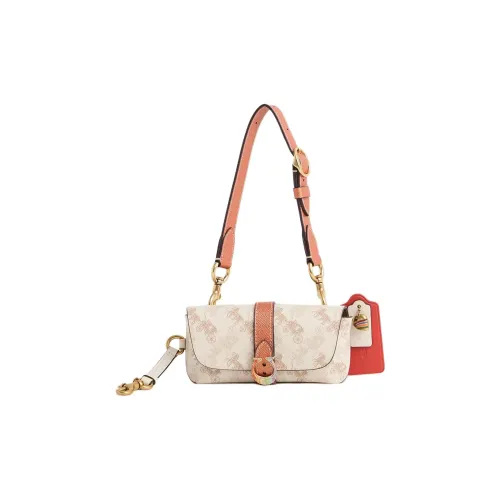 COACH Покрытый холст Чехол для очков Маленький Женские Латунь Мел