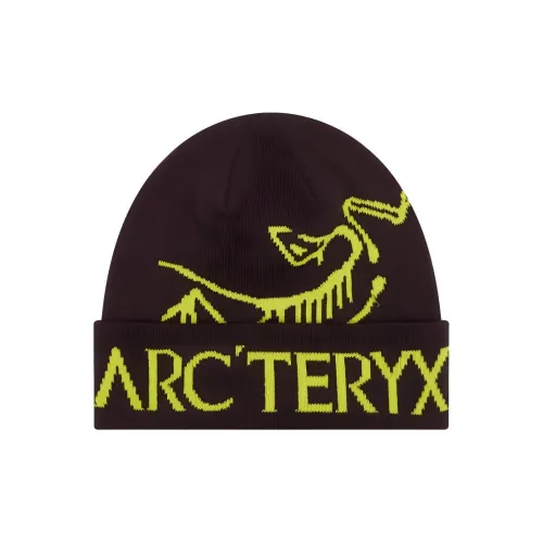 Arcteryx Акриловые шапки-бини Мужской Кофейный