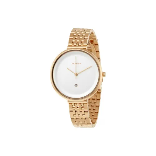 SKAGEN Women's Watch Кварцевый механизм ремешок из нержавеющей стали 38 мм белый циферблат