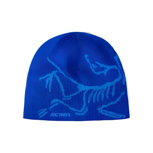 Arcteryx Мериносовая шерсть Переработанный полиэстер Wool Beanies Унисекс Синий