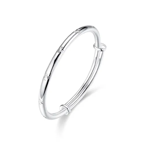 WANLIACC Браслеты из сплава для женщин