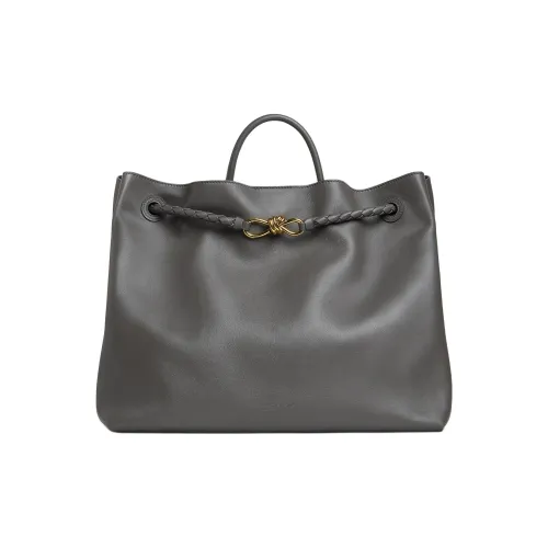 Bottega Veneta Andiamo series Сумки Женские