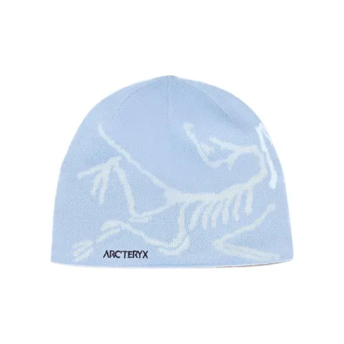 Arcteryx Шерсть Переработанный полиэстер Шапки-бини Унисекс Синий