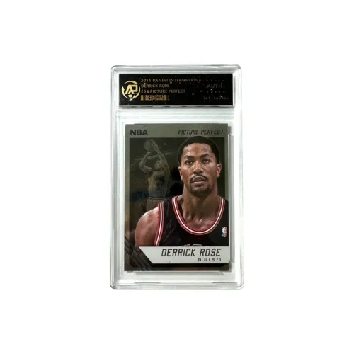 Панини Derrick Rose Bulls Stopped Time Teca Portrait Silhouette Игрок Card Подлинный Rose Игрок Card