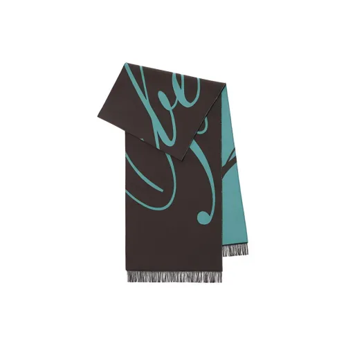 Burberry Вязаные Шарфы Унисекс Коричневый