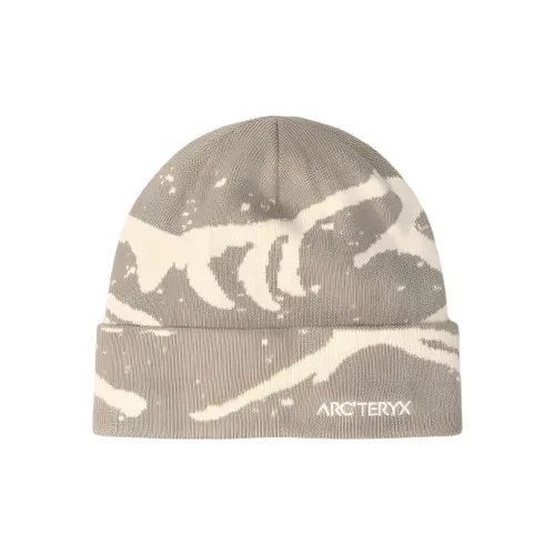 Arcteryx Переработанный полиэстер Шапки-бини Унисекс Серый Бежевый