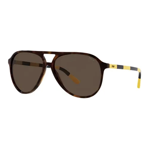 Polo Ralph Lauren Ацетат Aviator Солнцезащитные очки Мужские Tortoiseshell