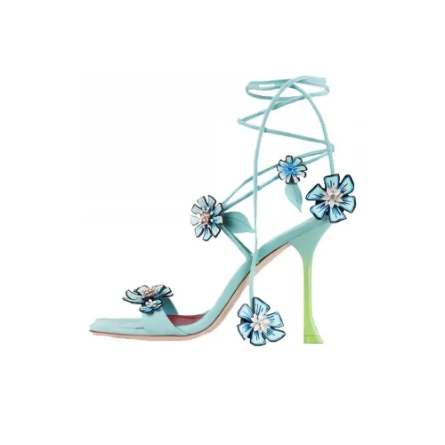 Roger Vivier Низкий каблук Высокий каблук