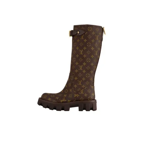 LOUIS VUITTON Женские сапоги на высоком каблуке Коричневый