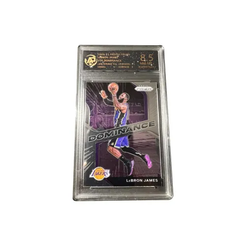 PANINI Лейкерс LeBron James The King Prizm Beautiful Rookie Card Высокий рейтинг RPA Score Игрок Card Rare Card