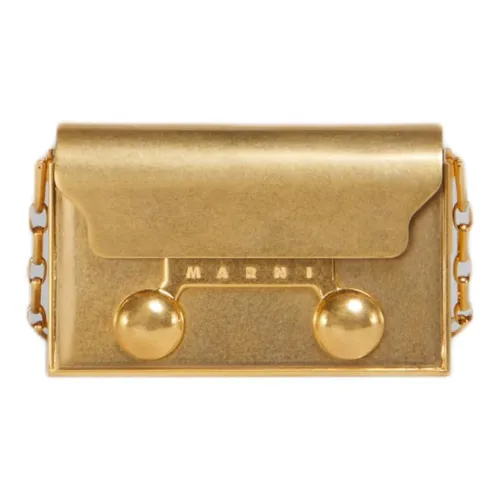 MARNI Trunkaroo Латунь Сумка Женская Золотая