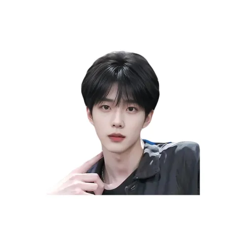 UMIFFA Differential Cracked Plate Мужские парики Темный чай