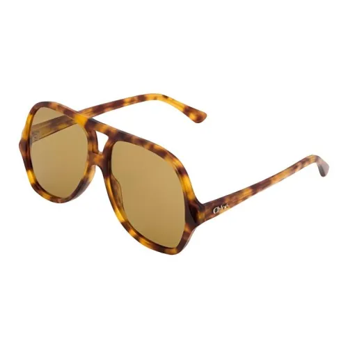 Chloe Ацетат Aviator Солнцезащитные очки Женские Черепаховый