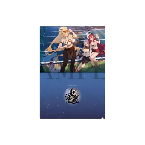 Aniple Fate Grand Order Япония 8-я годовщина память иллюстрация папка мерч по IP