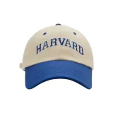 Синий Кляйна