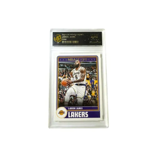 PANINI Джеймс Lakers Hoops Vintage Teca Silver Label Игрок Card Certified Cards 1 Pack