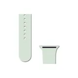 Светлый мятный цвет