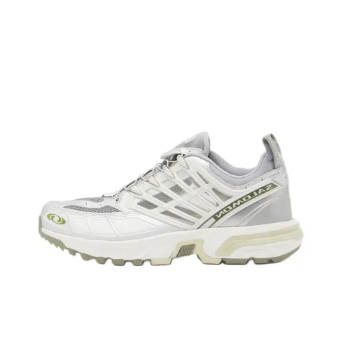 SALOMON x MM6 Maison Margiela ACS PRO Low Топ Casual Мужской Серый
