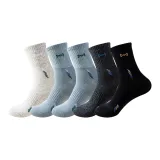 5 пар (Туманно-голубой 2 + Светло-серый + Темно-серый + Черный)