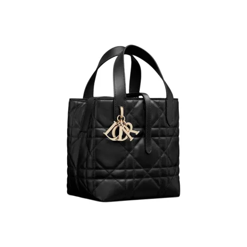 DIOR Toujours Женские Клатчи