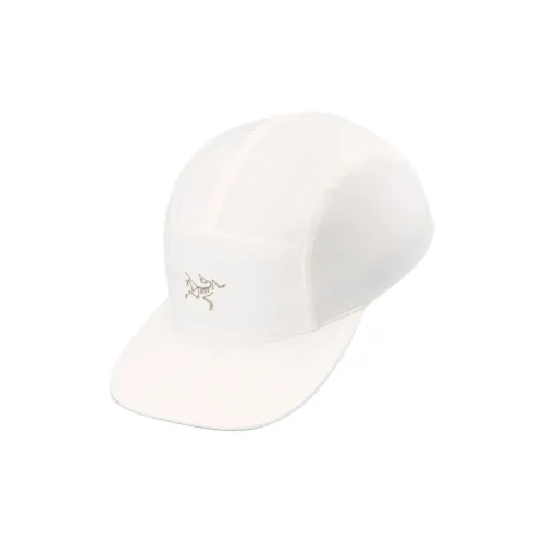 Arcteryx Полиэстер Эластан Бейсболки Мужские Белые