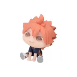 Шоё Хината (1)