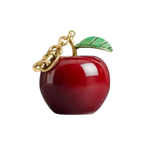 COACH Металлические брелоки Унисекс Красный