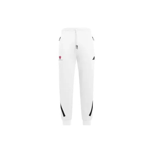 Adidas Indiana Sportswear Вязаные Тренировочные Штаны Мужские Белые