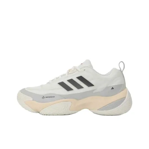 Adidas CLIMAPROOF AMPHY Противоскользящий устойчивый к истиранию низкий топ повседневная городская обувь для коммутирования и бега унисекс белый