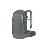 Гекко Зеленый