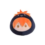 Шоё Хината Edition