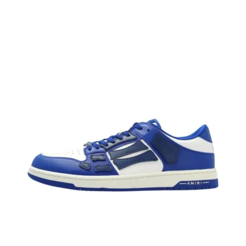 AMIRI Skel Топ Низкий Топ Кроссовки для скейтбординга Мужской Синий