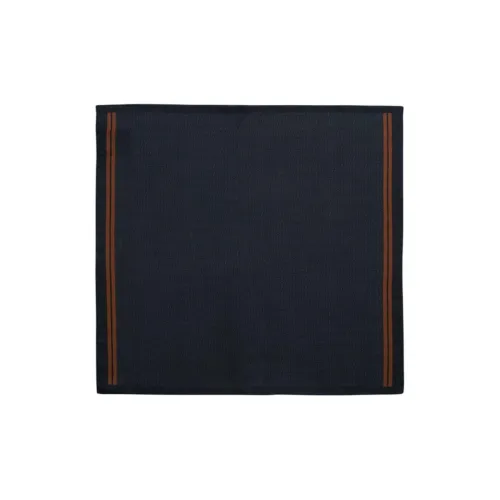 Ermenegildo Zegna Шелковые шарфы Мужской