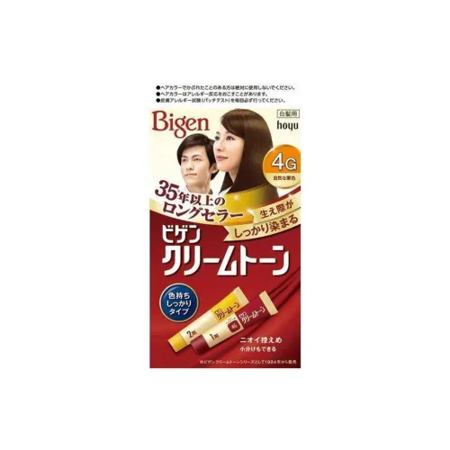 BIGEN Natural Chestnut Gray Hair Color Moisturizing and Balancing 80g