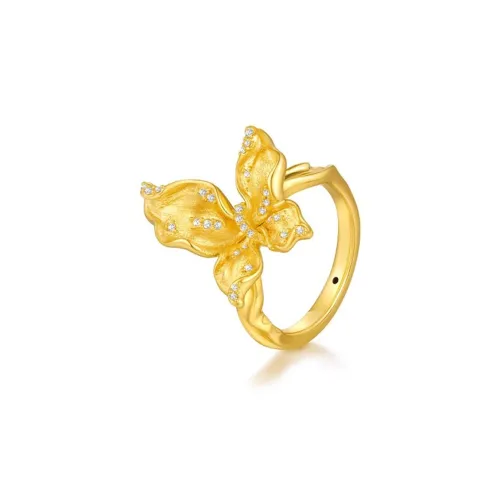 Добро пожаловать в сокровище Кольца Унисекс