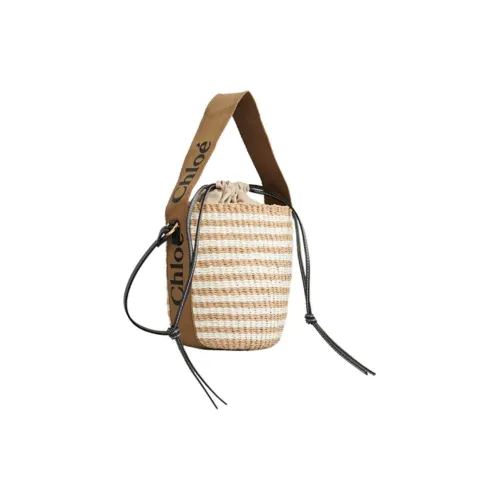 Chloe Chloé сумки Женские Коричневый Белый Многоцветный