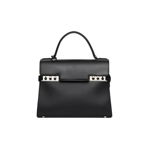 Delvaux Сумки Женские