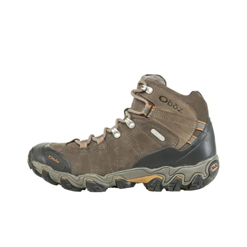 Oboz Footwear Bridger Альпинистские и туристические ботинки Низкий верх Коричневый Мужской