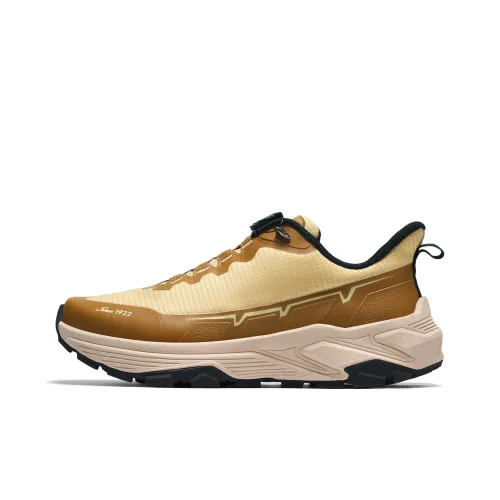 Dickies Беговые кроссовки Low Top Коричневый Мужской