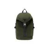 Чайно-зеленый