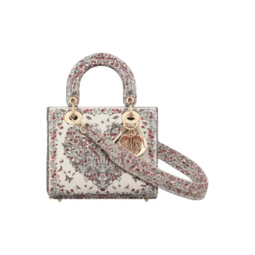 DIOR Lady Dior My ABCDior Сумки Женские