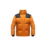 Апельсин-0008