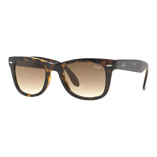 RayBan Nylon Нерегулярная форма Солнцезащитные очки Мужской Коричневый